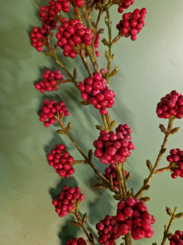 Zijdenbloem Calicarpa
