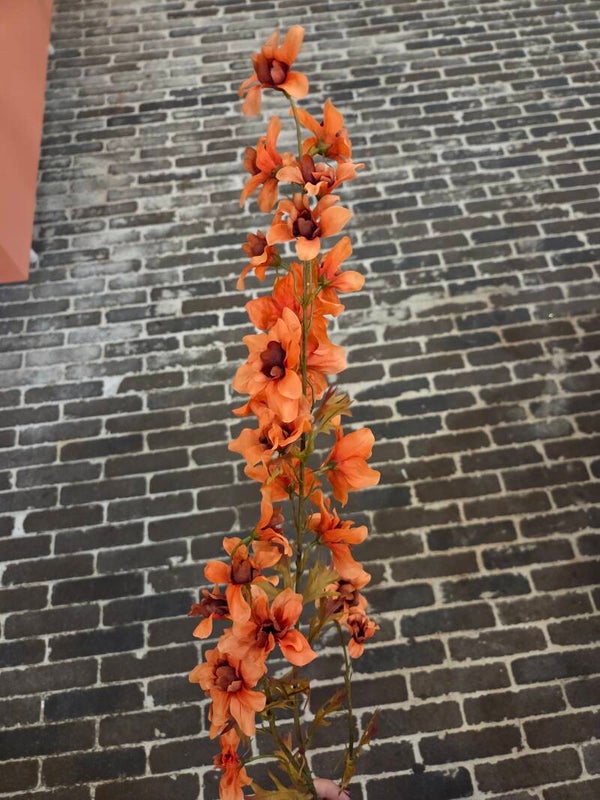 Zijdenbloem delphinium oranje