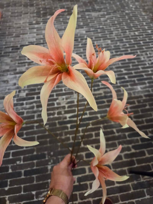 Zijdenbloem hippeastrum perzik