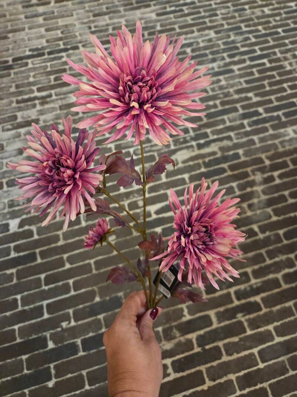 Zijdenbloem spingebera lavendel