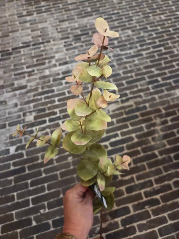 Zijdenbloem eucalyptus lichtgroen