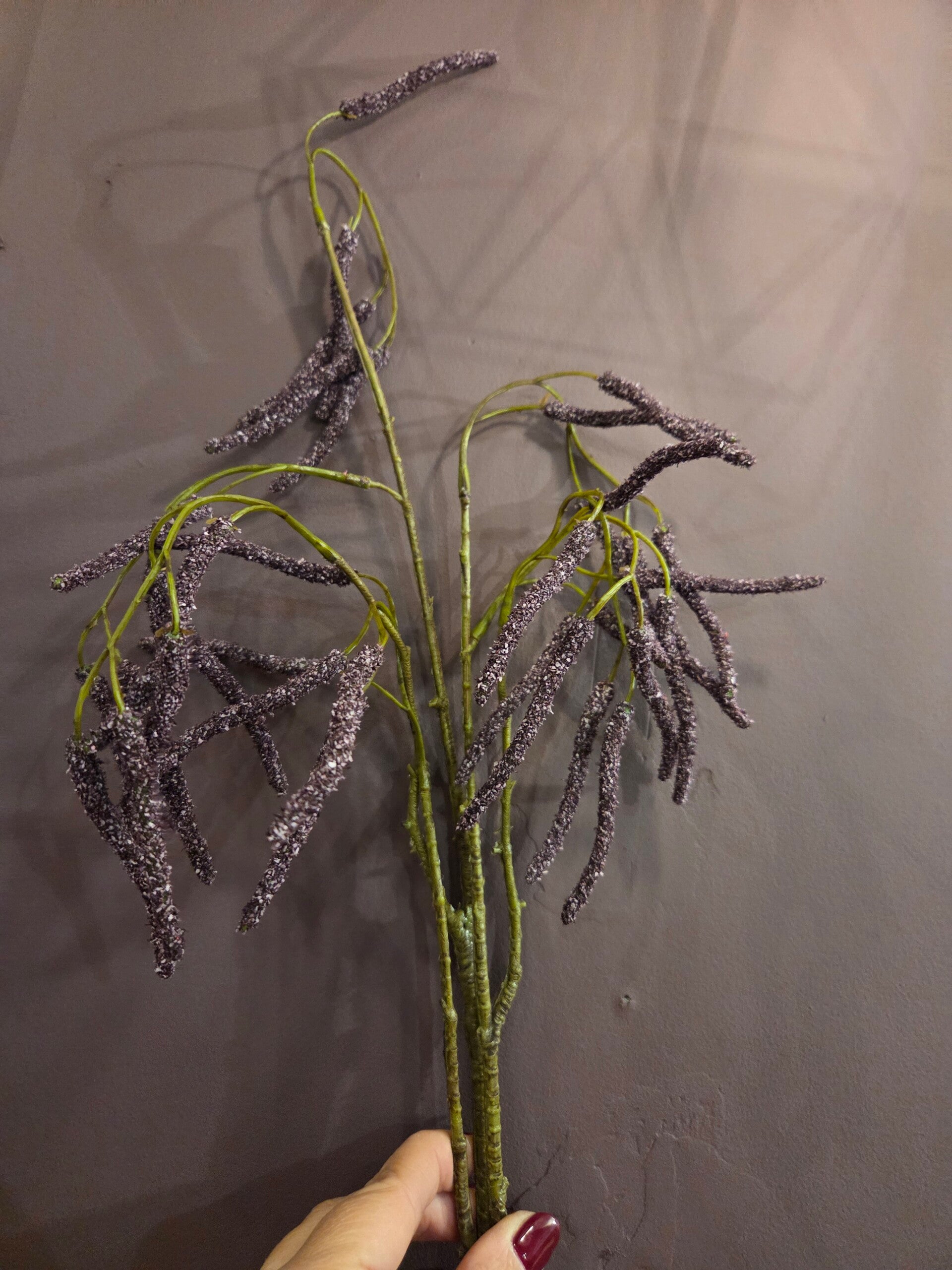 Zijdenbloem alderfruit paars