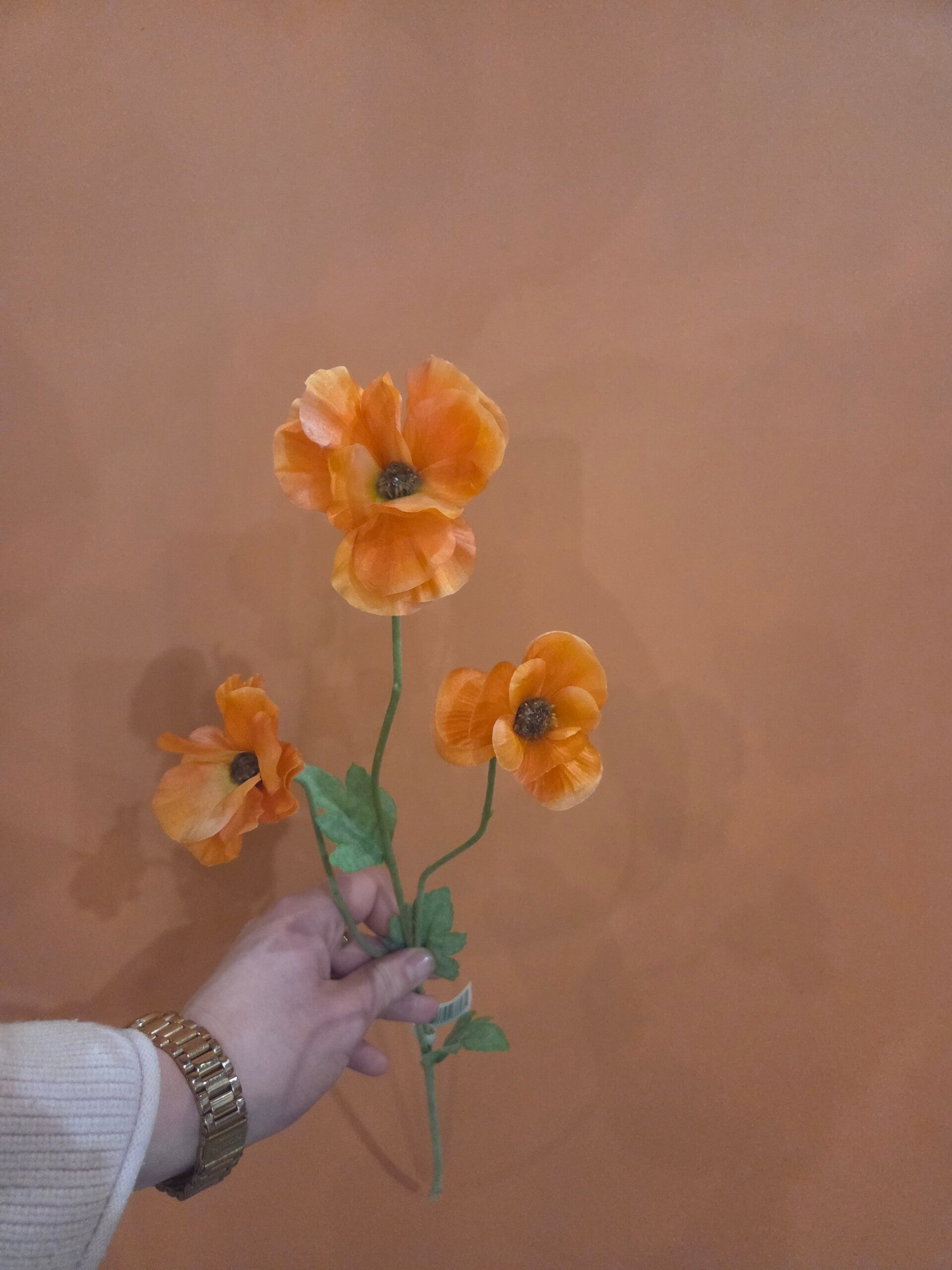 Zijdenbloem klaproos