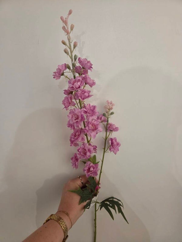 Zijdenbloem larkspur