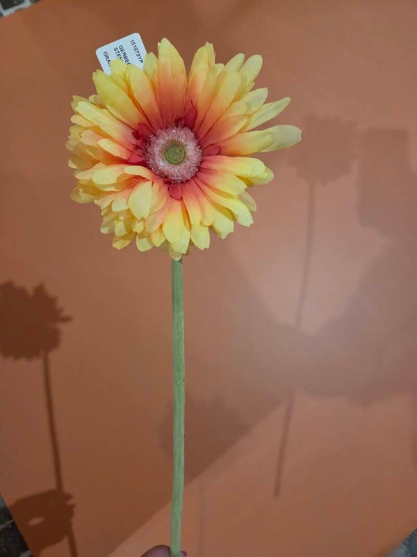 Zijdenbloem gerbera