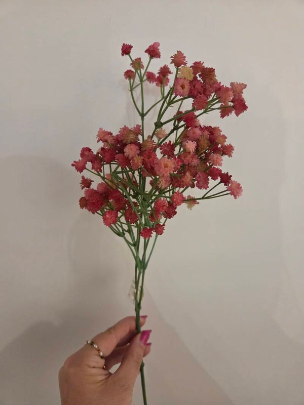 Zijdenbloem gyps