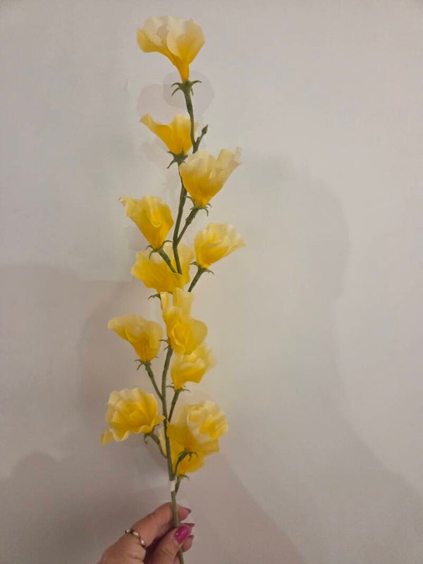 Zijdenbloem sweetpea