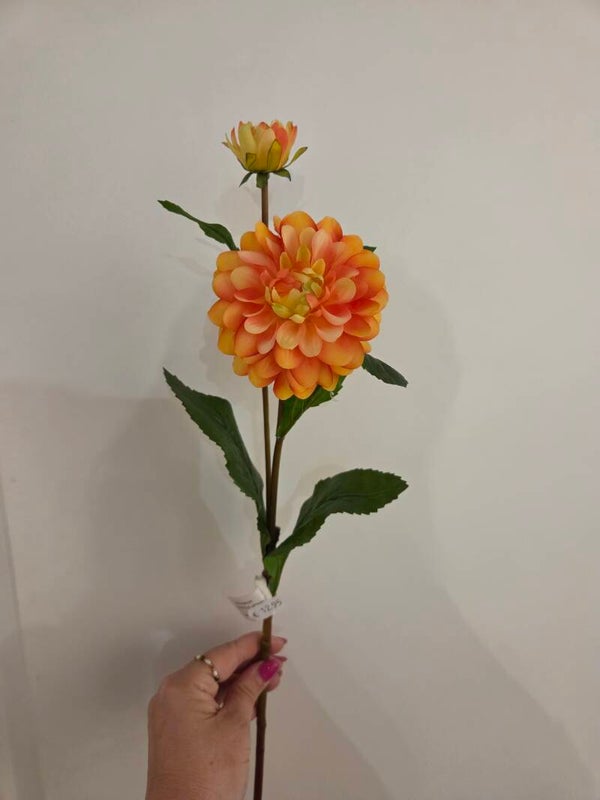 Zijdenbloem dahlia