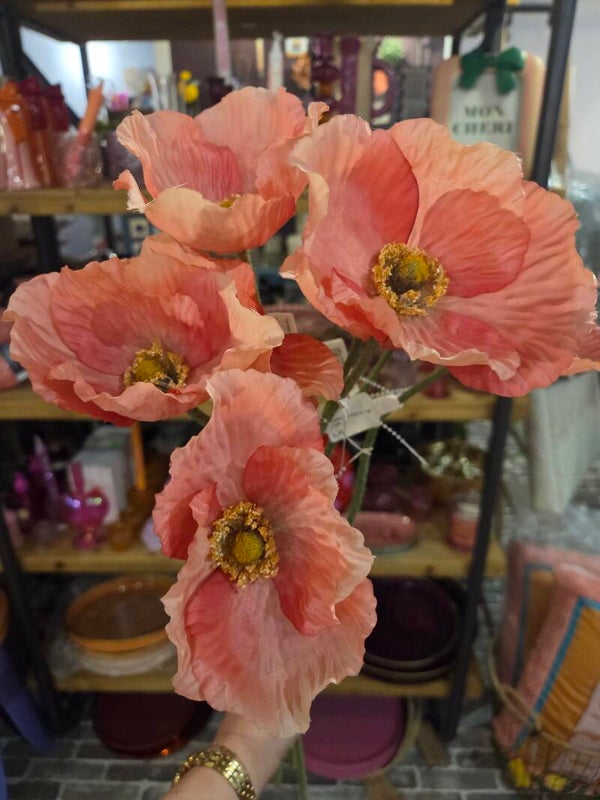 Zijdenbloem poppy