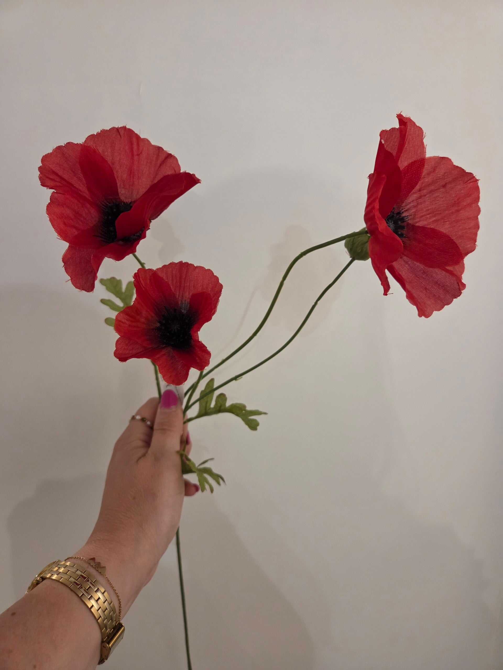 Zijdenbloem klaproos