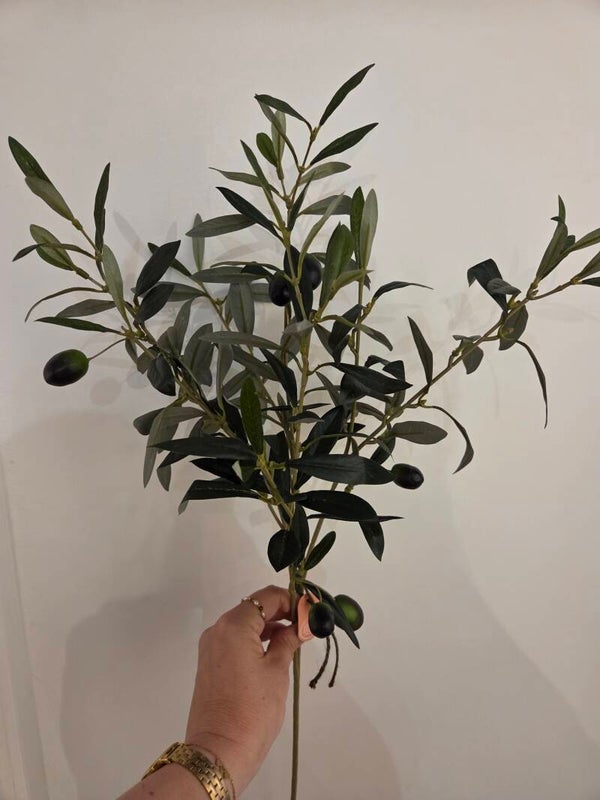 Zijdenbloem olijftak