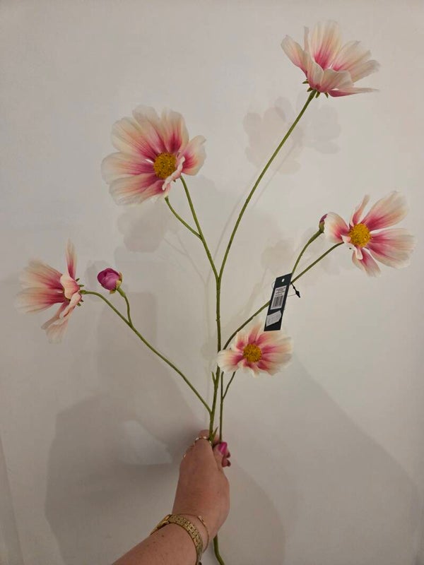 Zijdenbloem