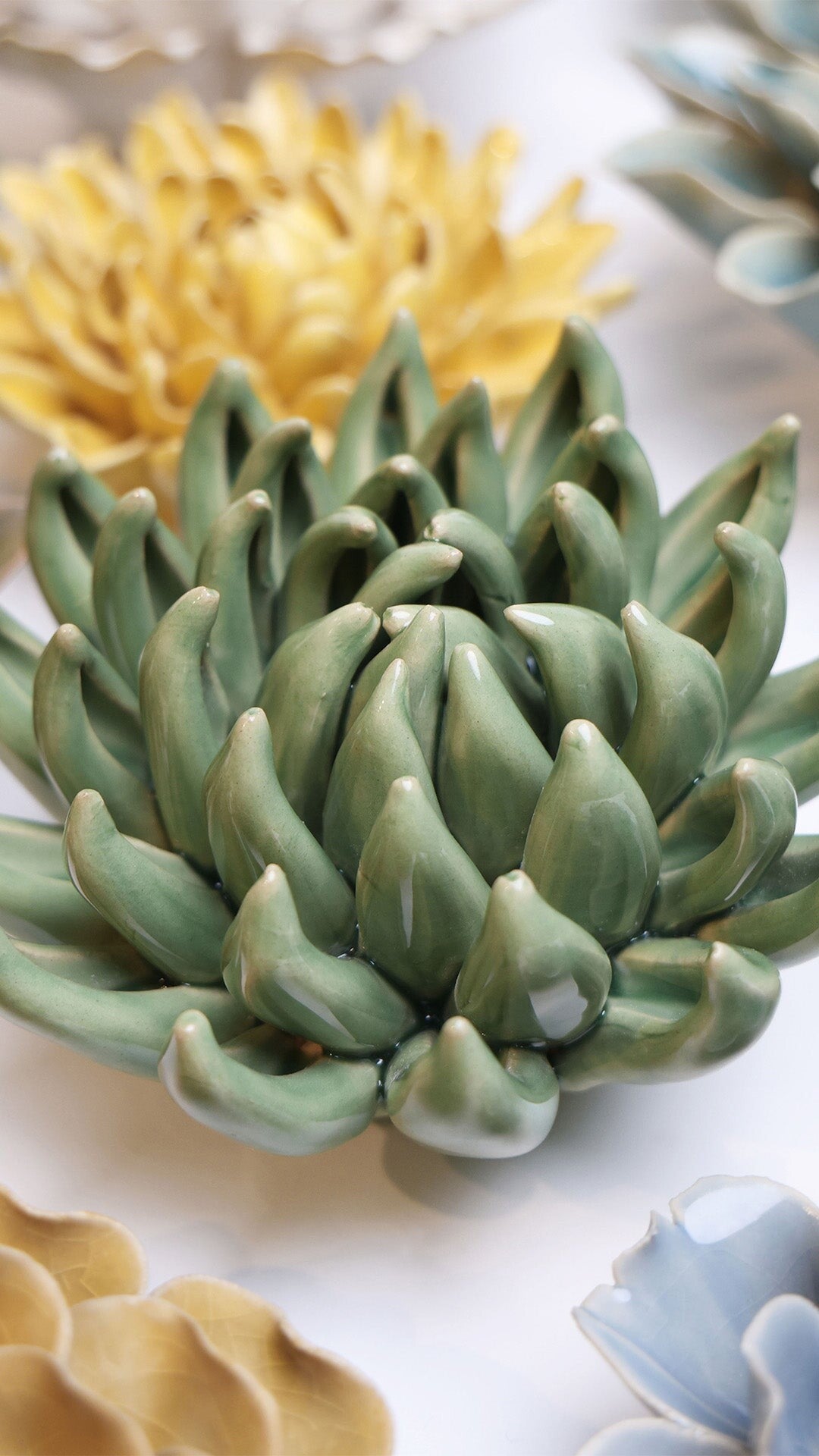 Bloem keramiek groene succulent