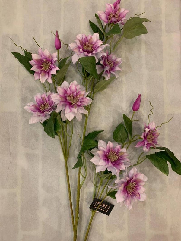 Zijdenbloem clematis lila