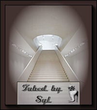 Misted Trappen / Misted overige 1 | Site van Syl