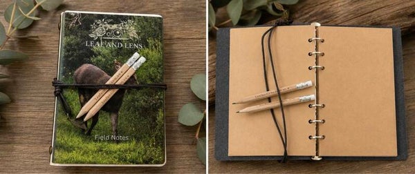 Field journal a6 binder pencils set custom photography wildlife birdwatching hunting fishing fungi foraging hiking adventure