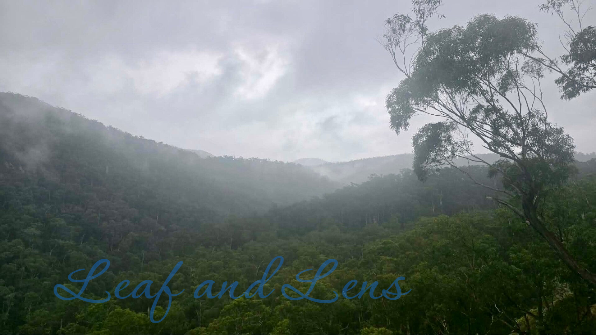 Misty mountains digital photograph nature east Gippsland rain clouds