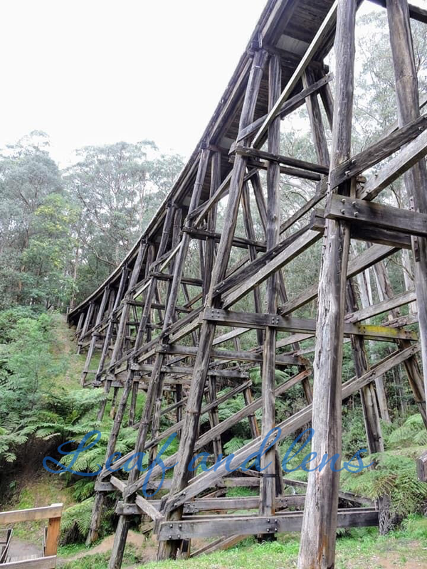 Noojee Trestle Bridge, Victoria | Digital Download