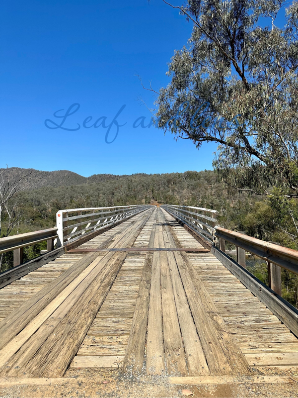 McKillops Bridge, Snowy River | Digital Download