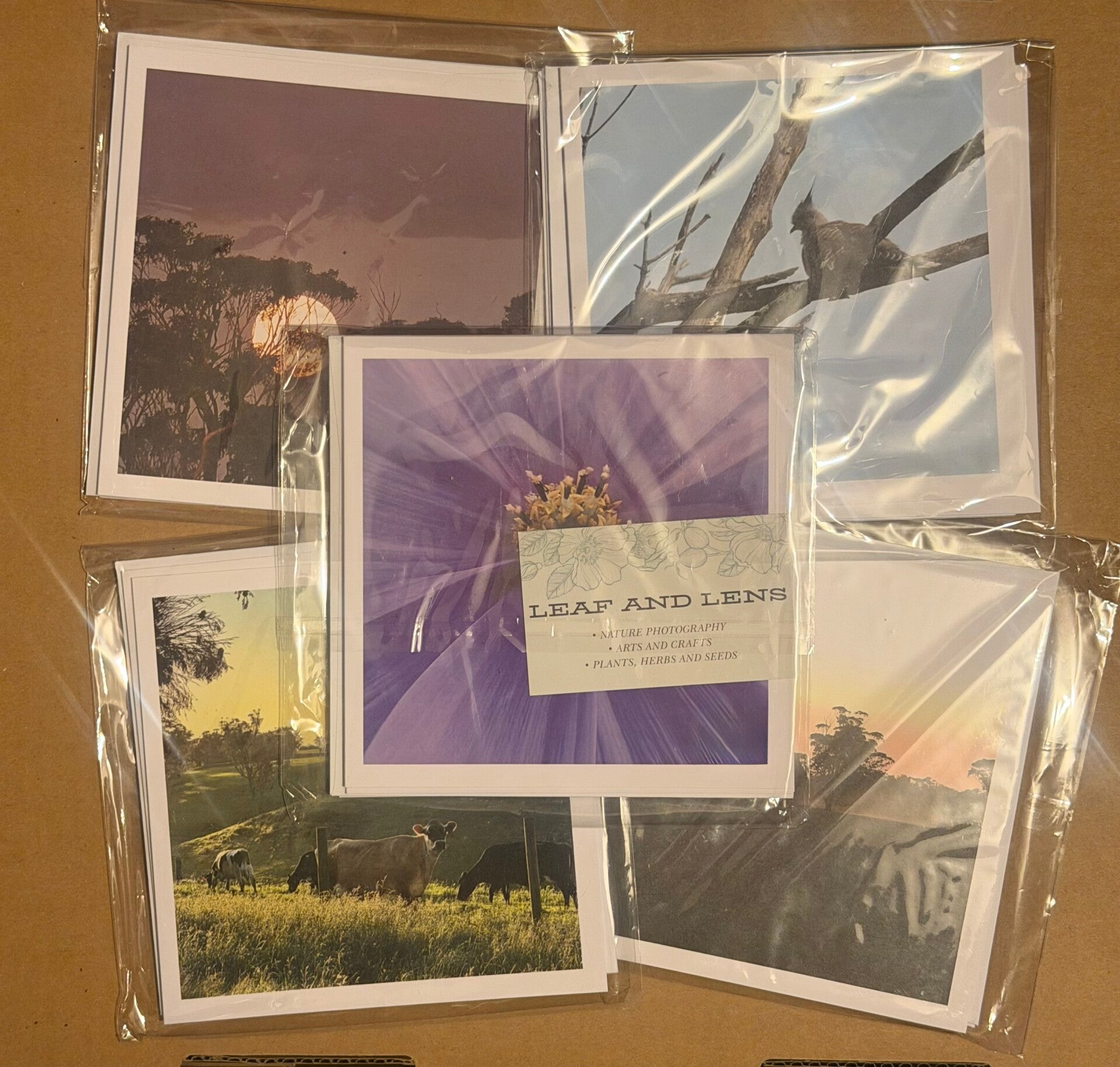 Set of 4 blank greeting cards with nature inspired photos