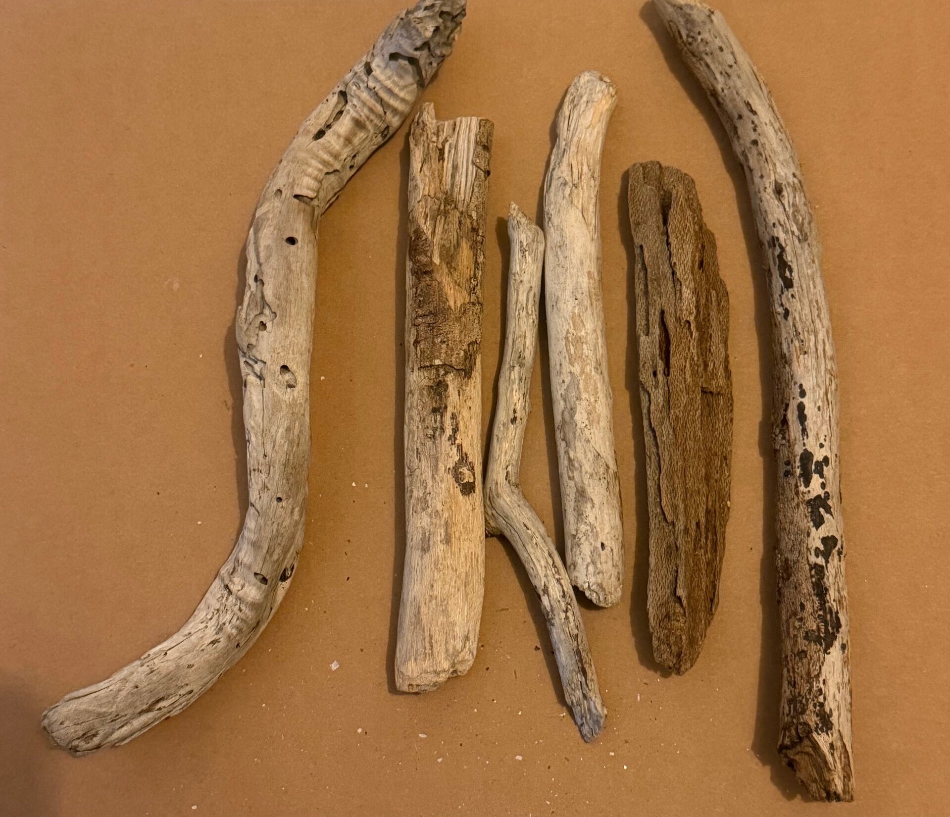 Medium sized driftwood 30-40cm enclosure aquarium crafting