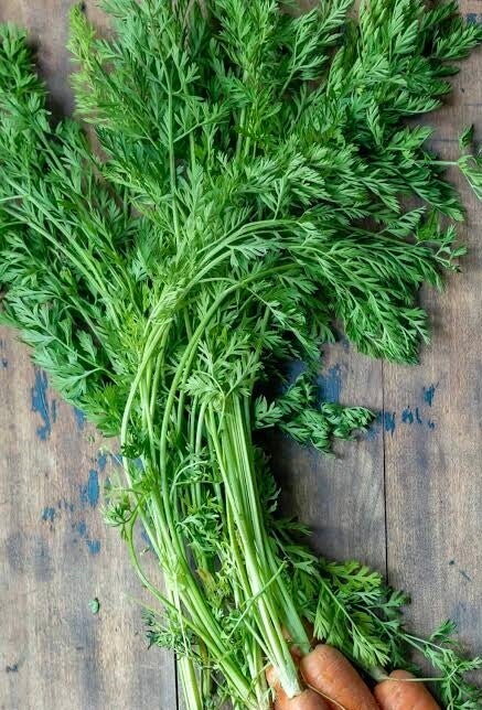 Dried carrot greens organic 20g