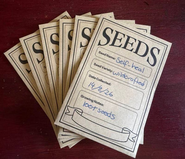 Self heal Prunella vulgaris seeds 100+ wild crafted medicinal herb