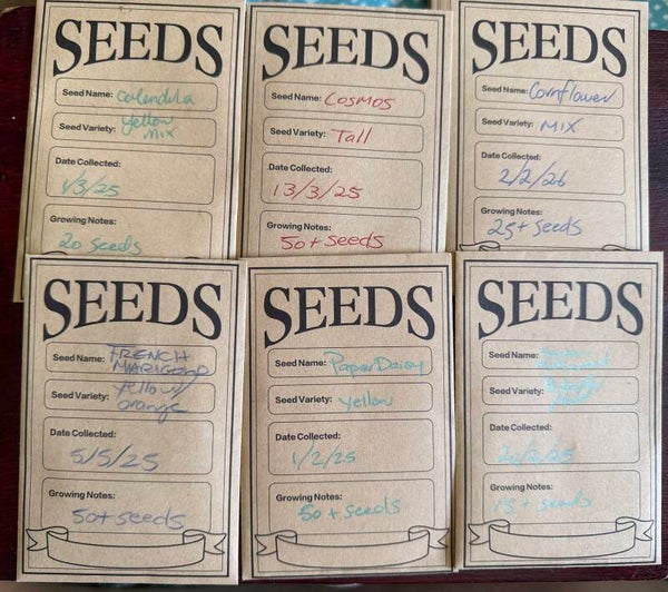 Pollinator mix seed kit flower garden beneficial bug pest control organic Aussie homegrown