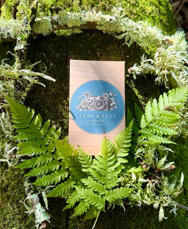 Leaf and lens nature oracle deck, 43 nature inspired cards, first edition limited release