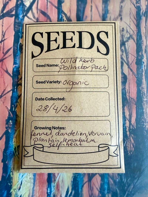 Wild herb pollinator seed pack generous amount of mixed seeds