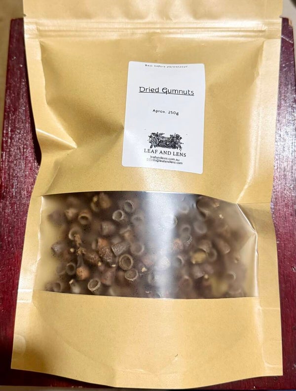 Gumnuts 250g dried stringybark heat treated birds parrots rodents pet enrichment arts crafting Aussie stringy bark