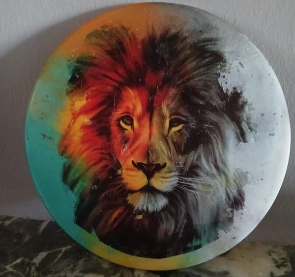 Plateaux lion