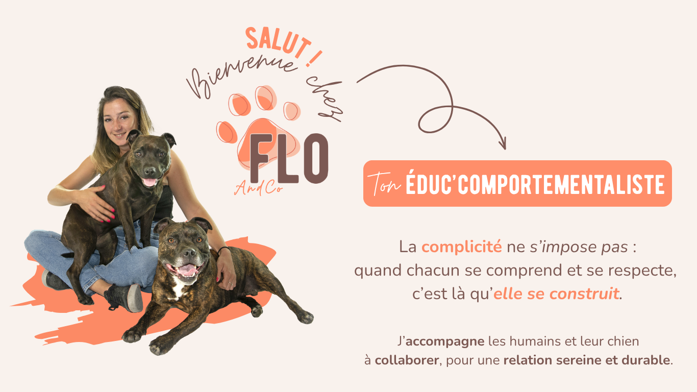 éducateur canin flo and co chien chiot réactif dressage chien comportementaliste comportement chien 