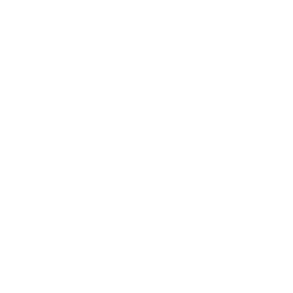 Airport Transfers
