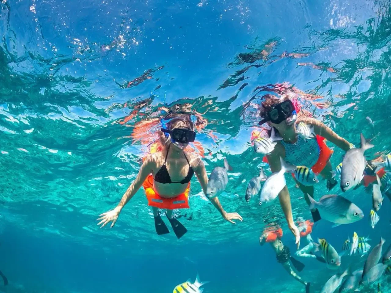 VIP Premium snorkeling