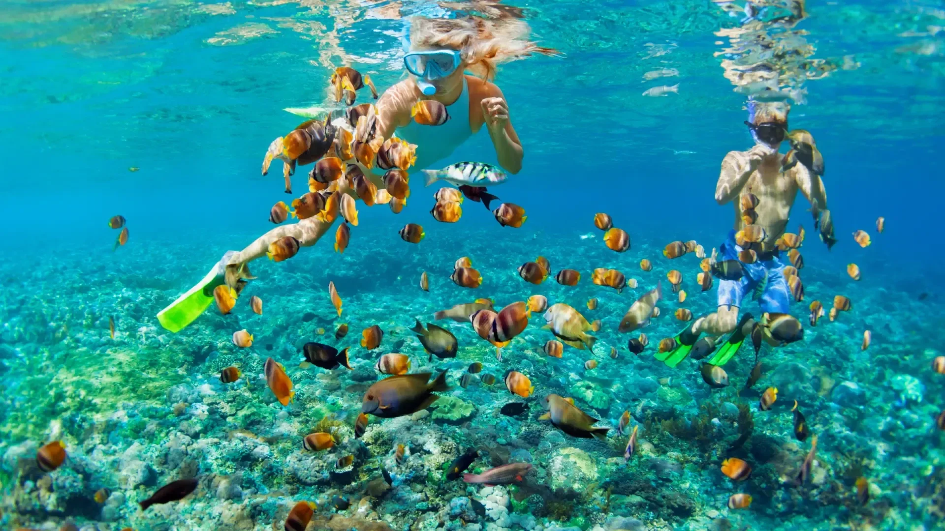 Luxury Isla Mujeres preview