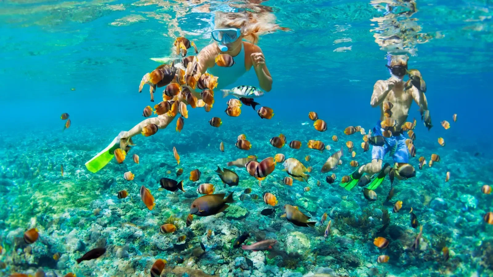Luxury Isla Mujeres gallery view