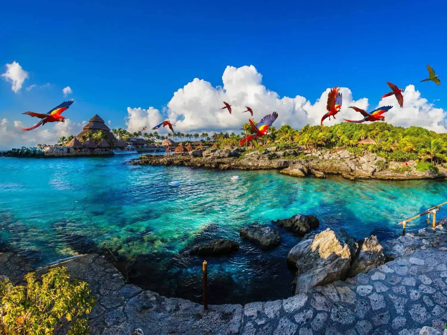 Xcaret Park and Dolphin Swim Adventure preview