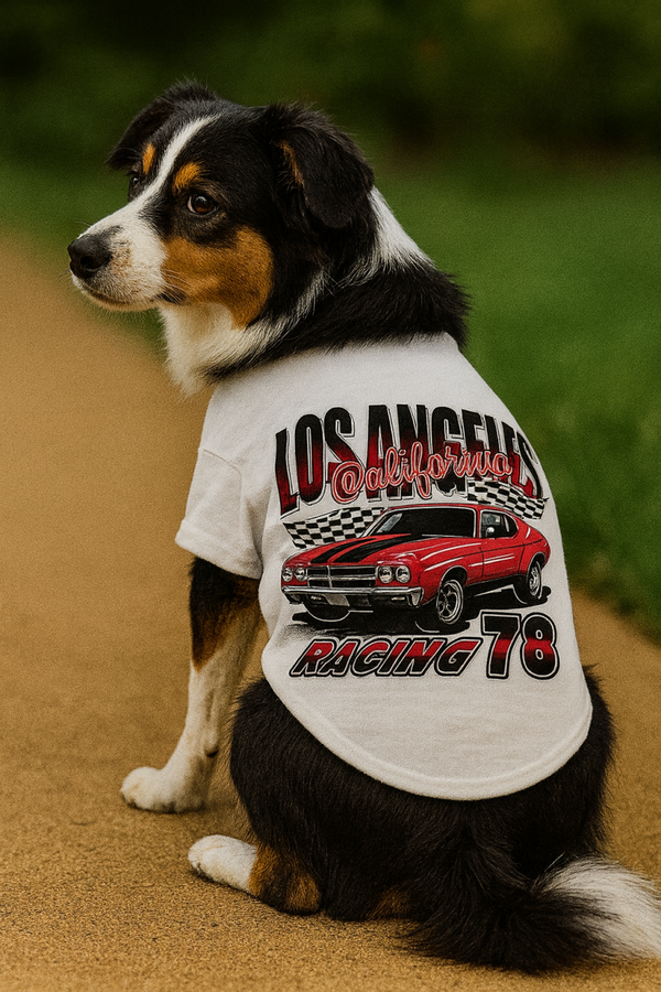 REMERA LOS ANGELES