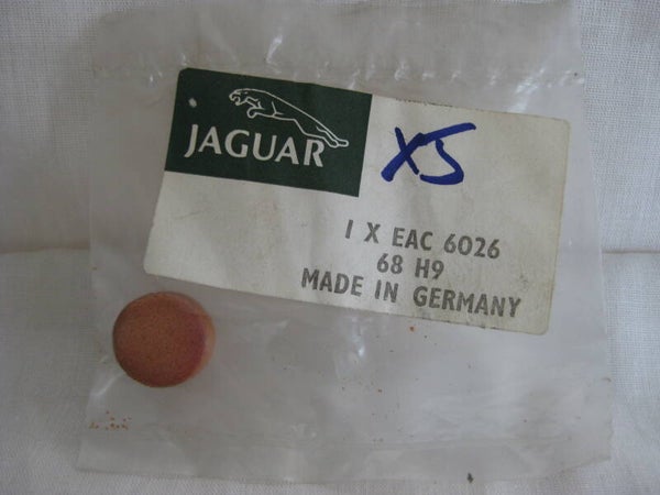 Jaguar Disk Foam EAC6029