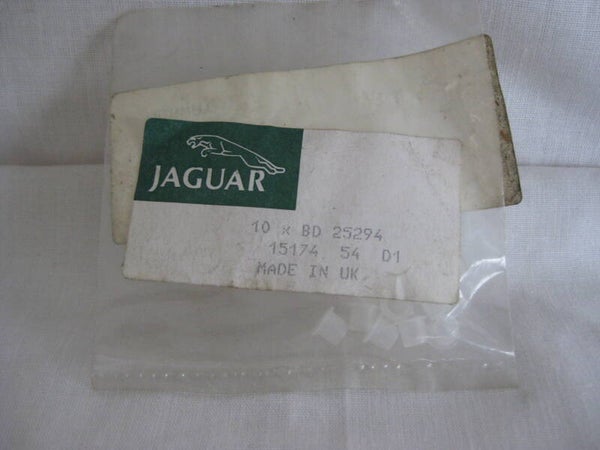 Jaguar plug BD25294