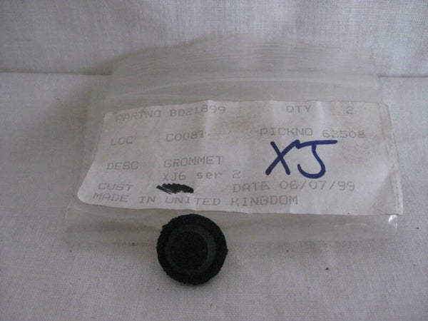 Jaguar Blanking plug BD21899