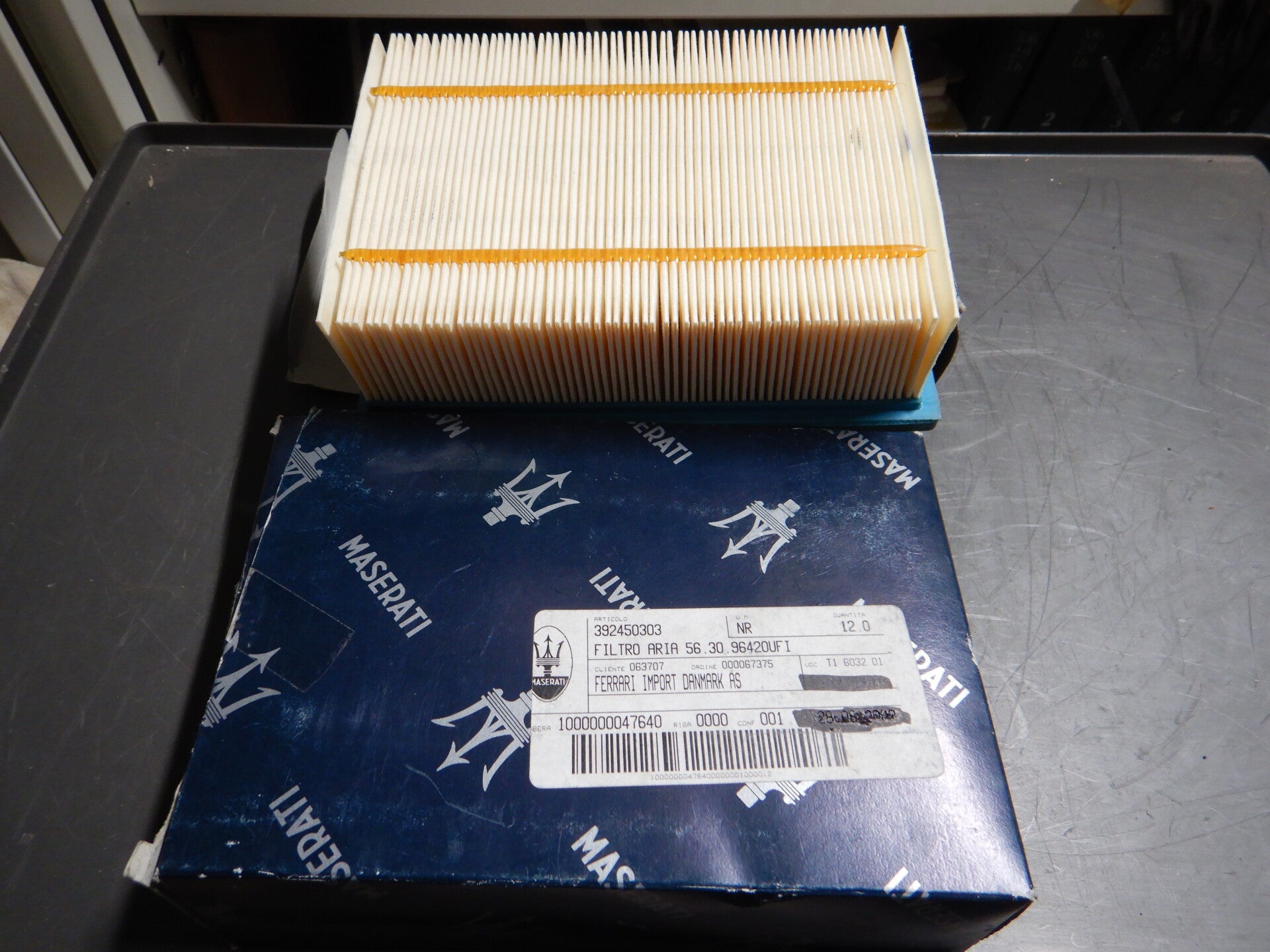 Air Filter  392450303