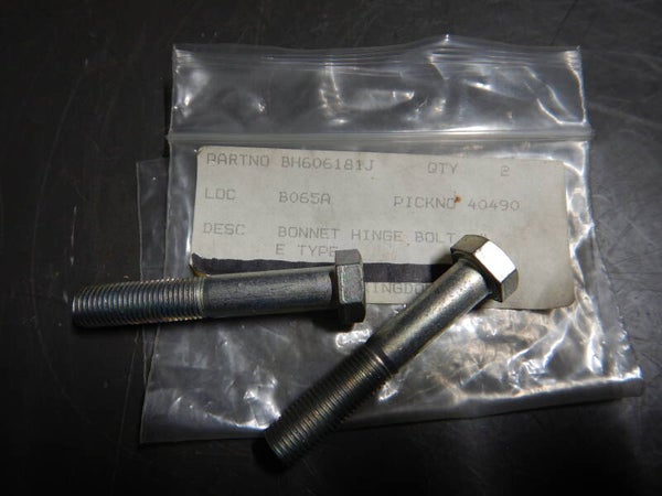 Bonnet Hinge Bolt 3/8" Unf Bzp   BH606181J*