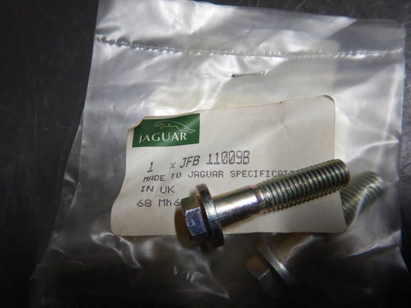 Flanged Hex Head Bolt  JFB11009B