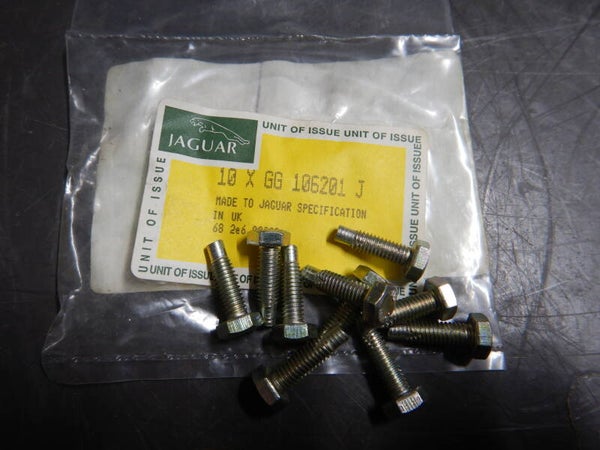 Screw, Spoilerv & Grill  GG106201J