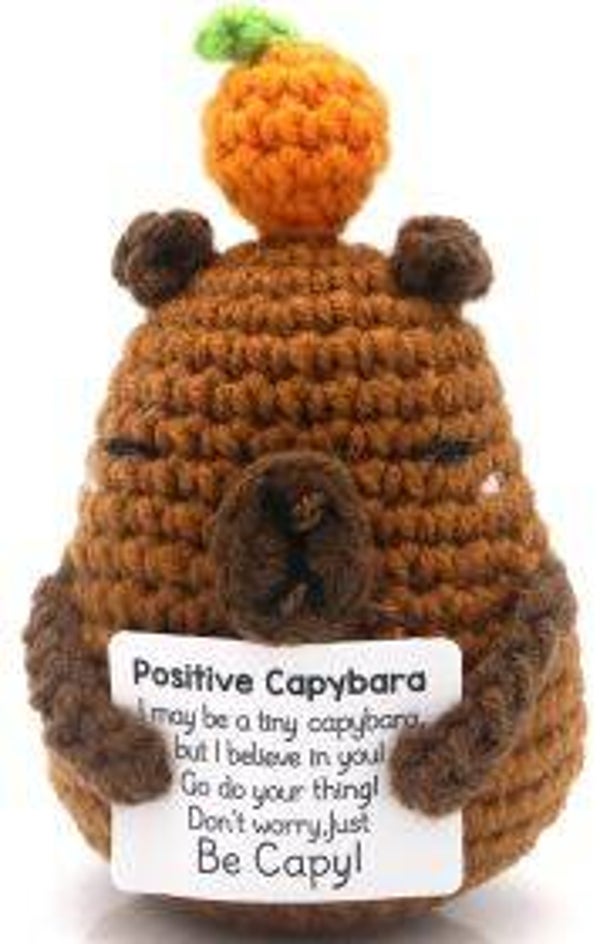 Positive Capybara - Positieve Capibara 11cm