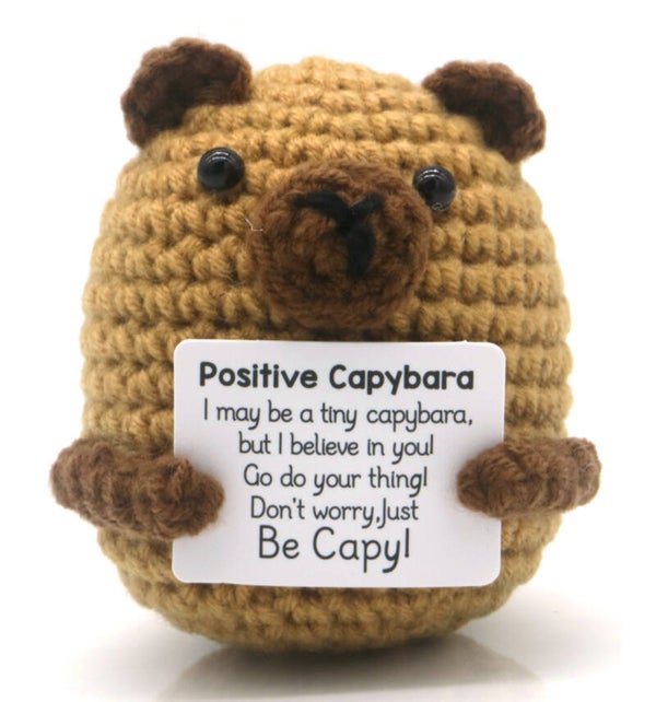 Positive Capybara - Positieve Capibara 8cm