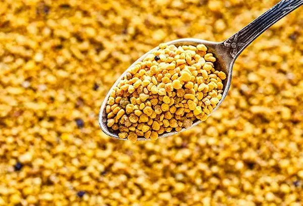 BEE POLLEN 12 count Case of 16 oz jars