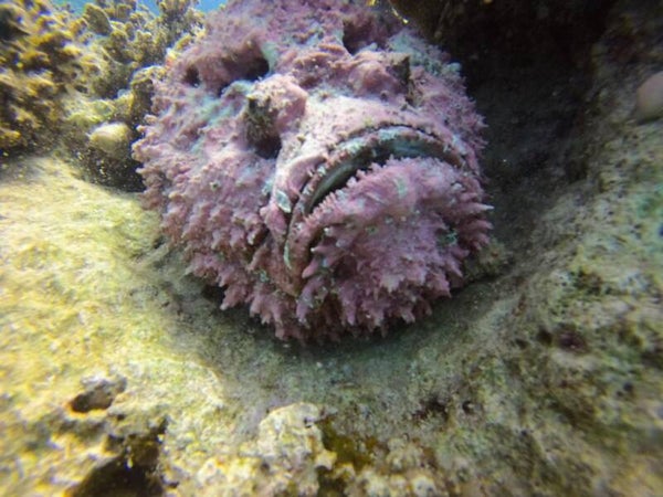 5 days boat diving, 10 dives